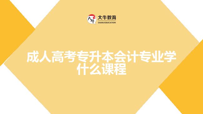 成人高考專升本會計專業(yè)學什么課程