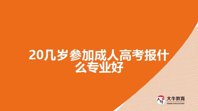 20幾歲參加成人高考報什么專業(yè)好