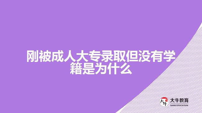 剛被成人大專錄取但沒(méi)有學(xué)籍是為什么