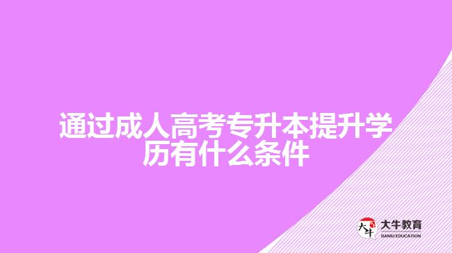 通過(guò)成人高考專升本提升學(xué)歷有什么條件