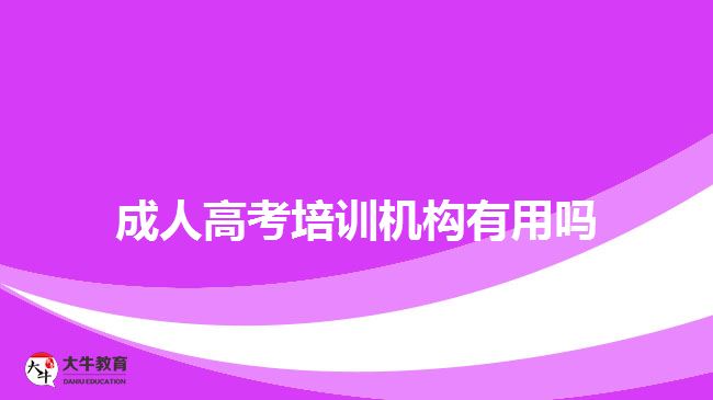 成人高考培訓(xùn)機(jī)構(gòu)有用嗎