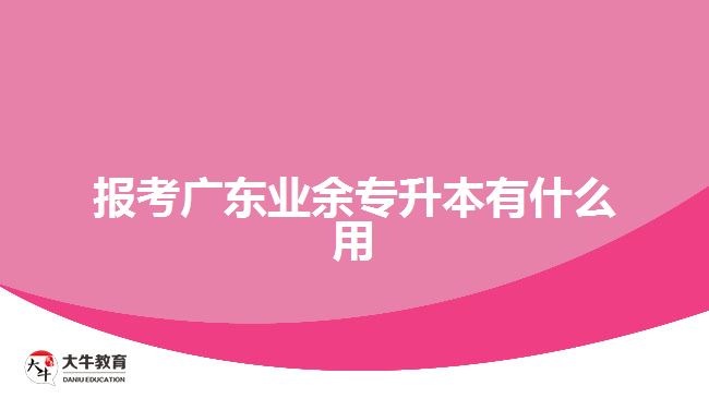 報(bào)考廣東業(yè)余專升本有什么用