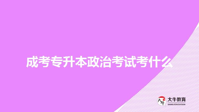 成考專(zhuān)升本政治考試考什么