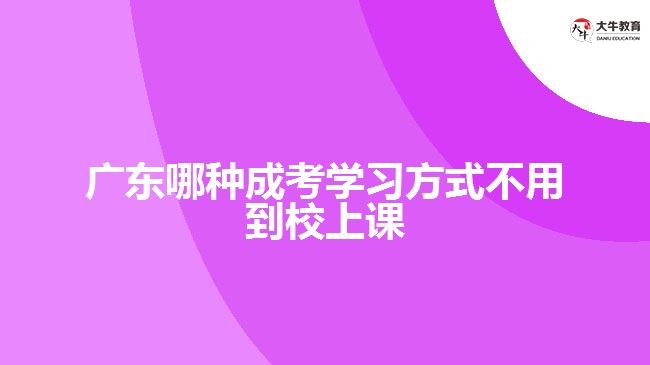 廣東哪種成考學(xué)習(xí)方式不用到校上課