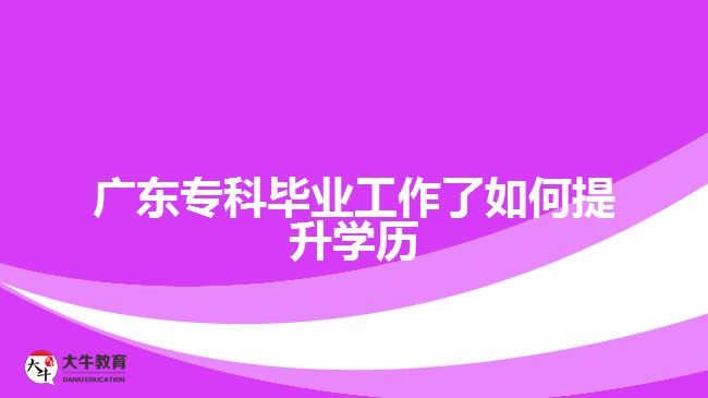 廣東?？飘厴I(yè)工作了如何提升學(xué)歷