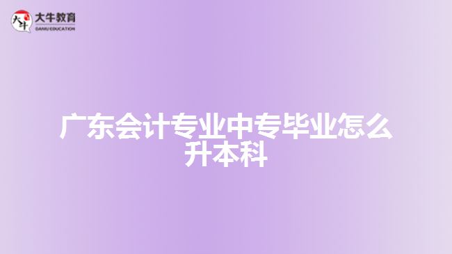 廣東會(huì)計(jì)專業(yè)中專畢業(yè)怎么升本科