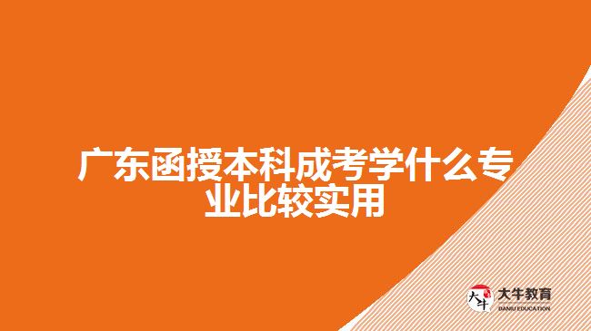 廣東函授本科成考學(xué)什么專業(yè)比較實用