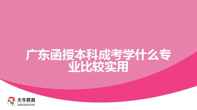 廣東函授本科成考學什么專業(yè)比較實用