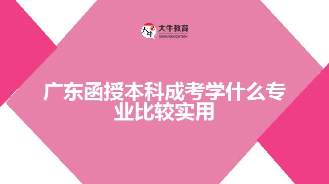 廣東函授本科成考學什么專業(yè)比較實用