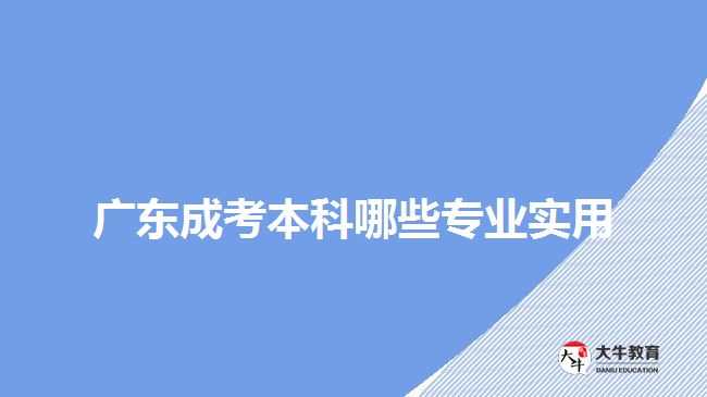 廣東成考本科哪些專業(yè)實用