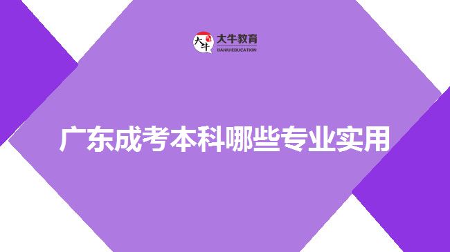 廣東成考本科哪些專業(yè)實(shí)用