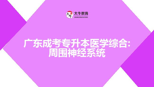 廣東成考專升本醫(yī)學(xué)綜合:周?chē)窠?jīng)系統(tǒng)