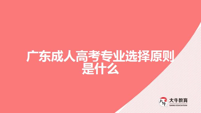 廣東成人高考專業(yè)選擇原則是什么