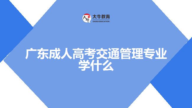 廣東成人高考交通管理專業(yè)學(xué)什么