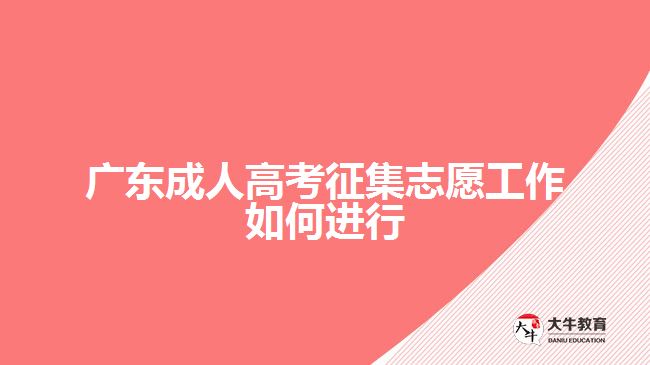 廣東成人高考征集志愿工作如何進(jìn)行