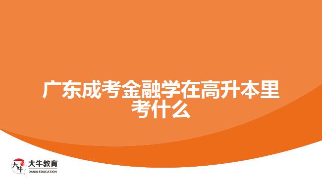 廣東成考金融學(xué)在高升本里考什么