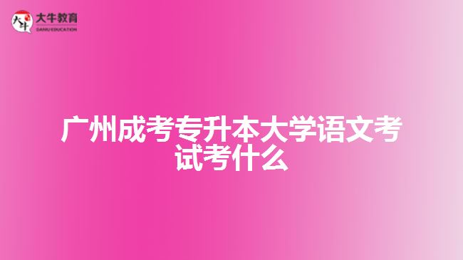 廣州成考專升本大學語文考試考什么