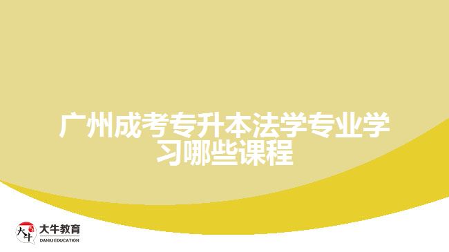 成考專升本法學(xué)專業(yè)學(xué)習(xí)哪些課程