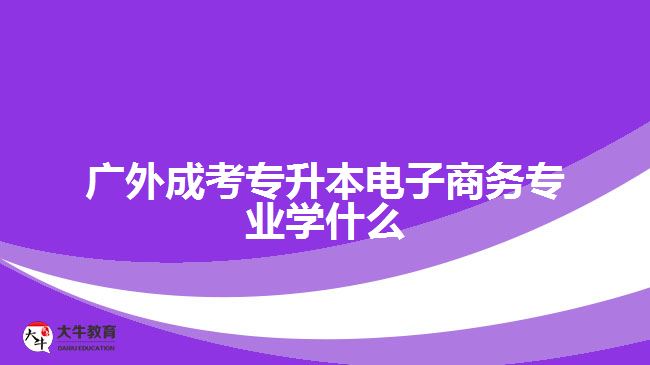 廣外成考專升本電子商務(wù)專業(yè)學什么