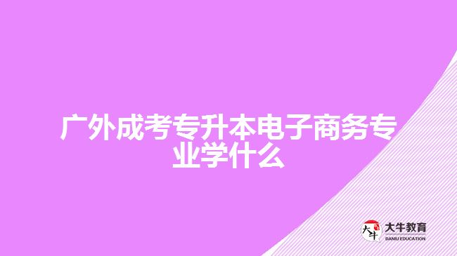 廣外成考專升本電子商務(wù)專業(yè)學(xué)什么