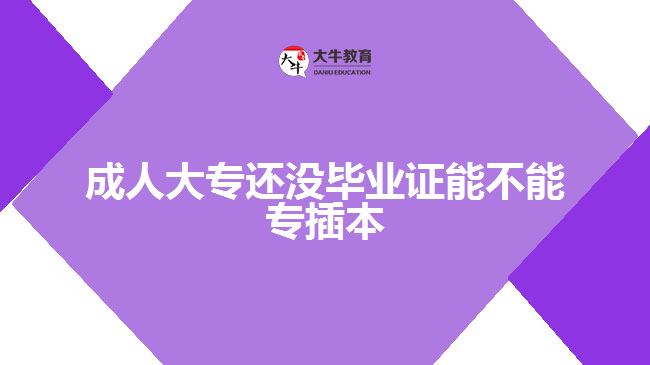 成人大專還沒(méi)畢業(yè)證能不能專插本