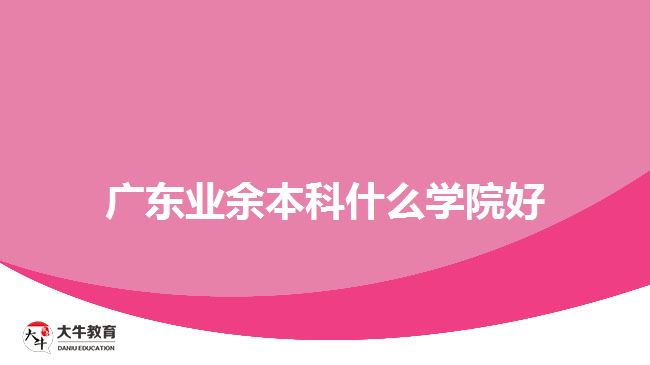 廣東業(yè)余本科什么學院好