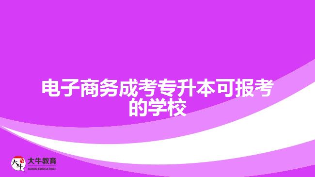 電子商務(wù)成考專升本可報(bào)考的學(xué)校