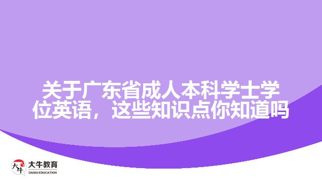 關于廣東省成人本科學士學位英語，這些知識點你知道嗎