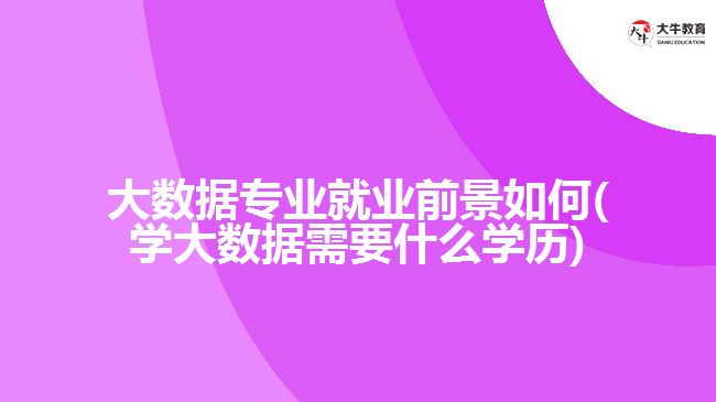 大數(shù)據(jù)專業(yè)就業(yè)前景如何(學(xué)大數(shù)據(jù)需要什么學(xué)歷)