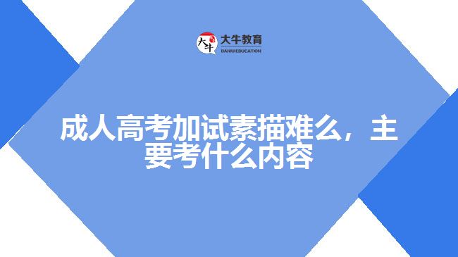 成人高考加試素描難么，主要考什么內(nèi)容