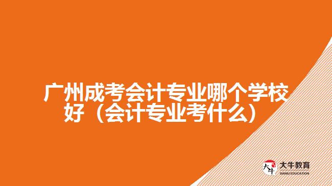 廣州成考會計(jì)專業(yè)哪個學(xué)校好（會計(jì)專業(yè)考什么）