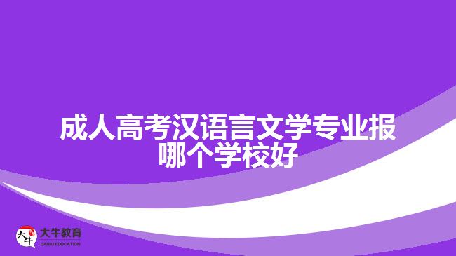 成人高考漢語言文學(xué)專業(yè)報(bào)哪個(gè)學(xué)校好