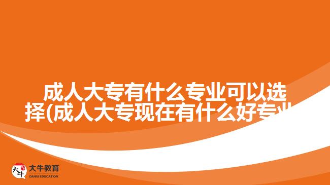 成人大專有什么專業(yè)可以選擇(成人大?，F(xiàn)在有什么好專業(yè))