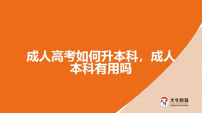 成人高考如何升本科，成人本科有用嗎