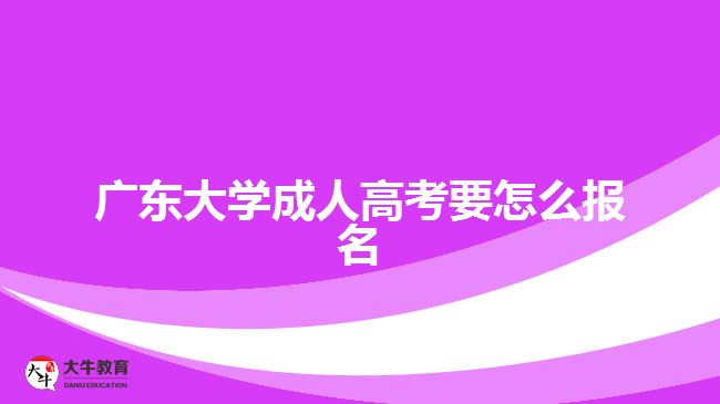 廣東大學(xué)成人高考要怎么報名