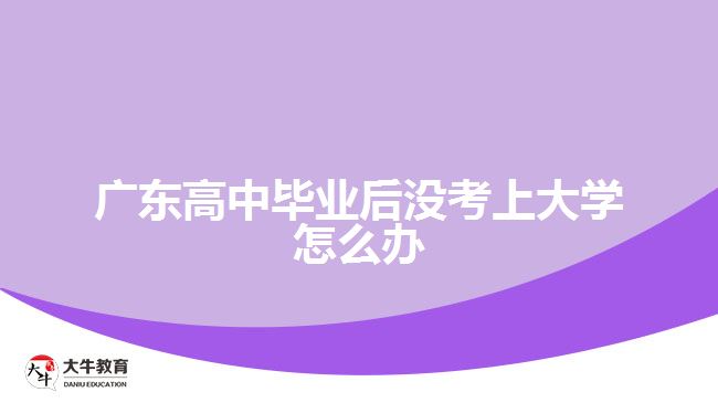 廣東高中畢業(yè)后沒考上大學(xué)怎么辦