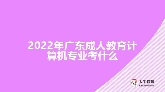 2022年廣東成人教育計算機專業(yè)考什么