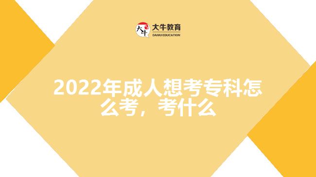 2022年成人想考?？圃趺纯?，考什么