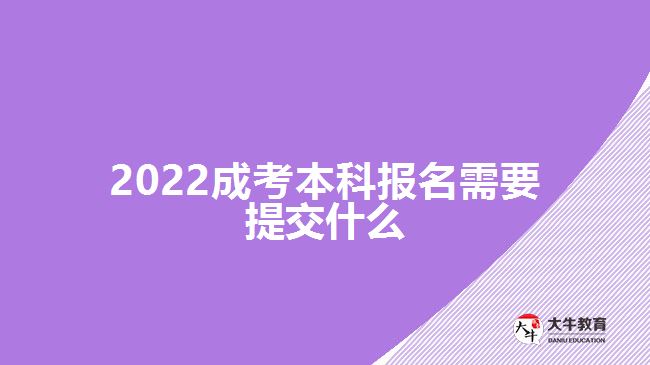 2022成考本科報(bào)名需要提交什么