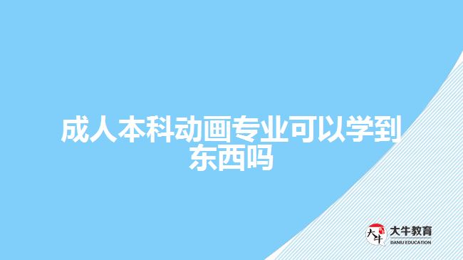 成人本科動畫專業(yè)可以學(xué)到東西嗎