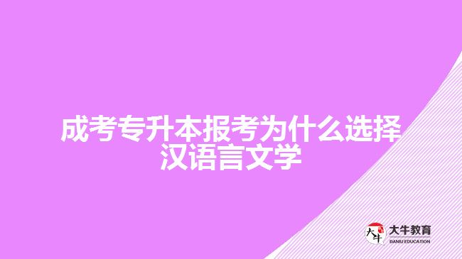 成考專升本報考為什么選擇漢語言文學