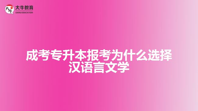 成考專升本報考選擇漢語言文學(xué)