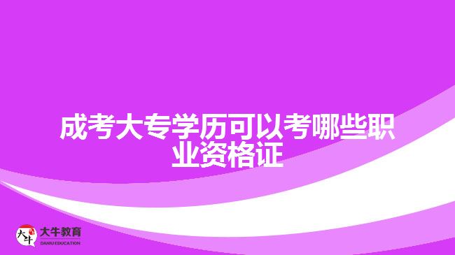 成考大專學(xué)歷可以考哪些職業(yè)資格證