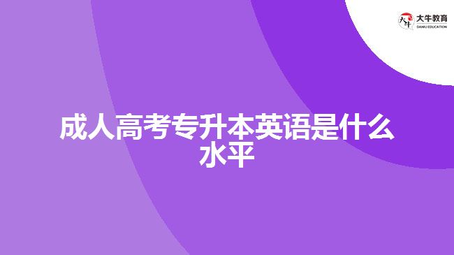 成人高考專升本英語是什么水平