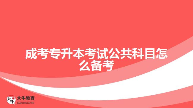 成考專升本考試公共科目怎么備考