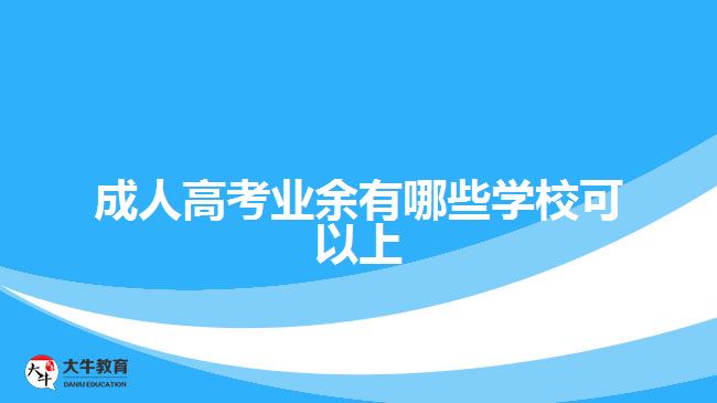 成人高考業(yè)余有哪些學(xué)校可以上