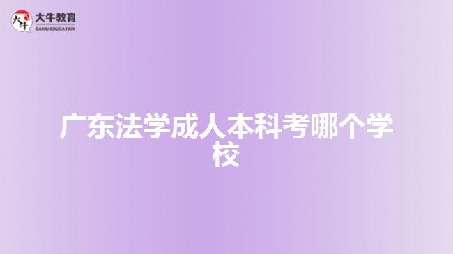 廣東法學(xué)成人本科考哪個(gè)學(xué)校