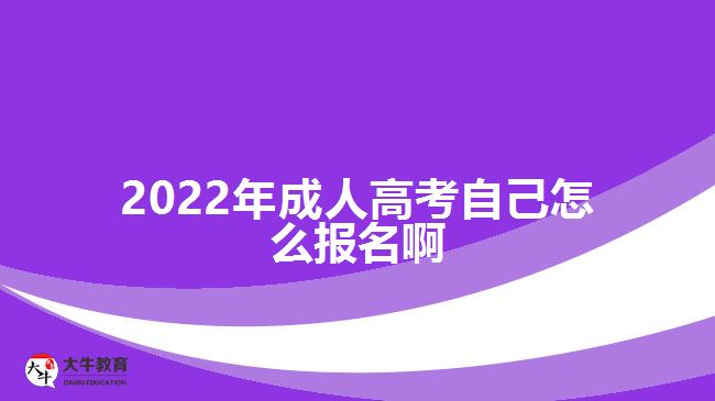 2022年成人高考自己怎么報名啊