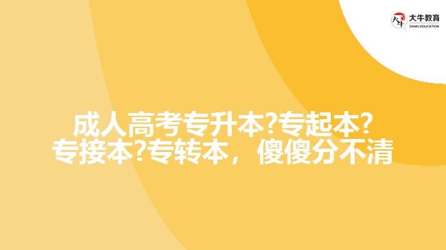 成人高考專升本?專起本?專接本?專轉(zhuǎn)本，傻傻分不清