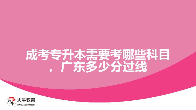 成考專升本需要考哪些科目，廣東多少分過線